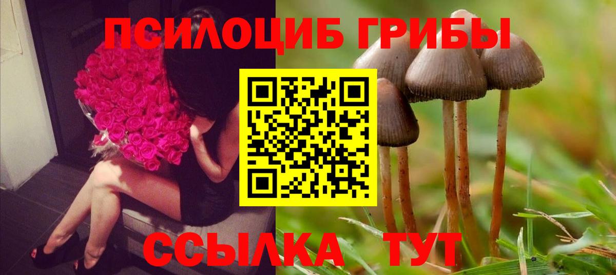 Галлюциногенные грибы MAGIC MUSHROOMS  Галлюциногенные грибы ЛСД  Нягань  Вход с VPN 